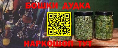 крисы Донской