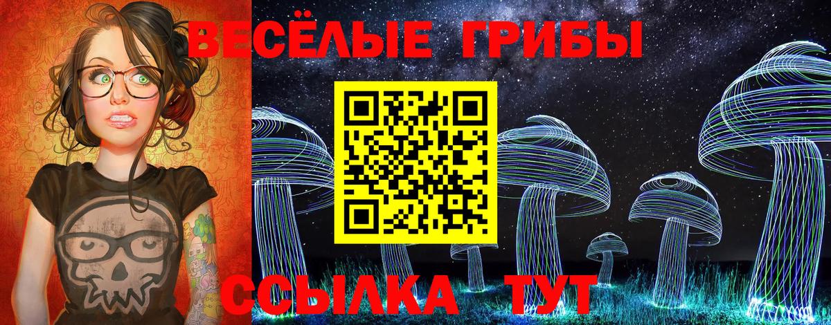 Галлюциногенные грибы Cubensis  Псилоцибиновые грибы Psilocybine cubensis  Лениногорск  Вход с VPN 